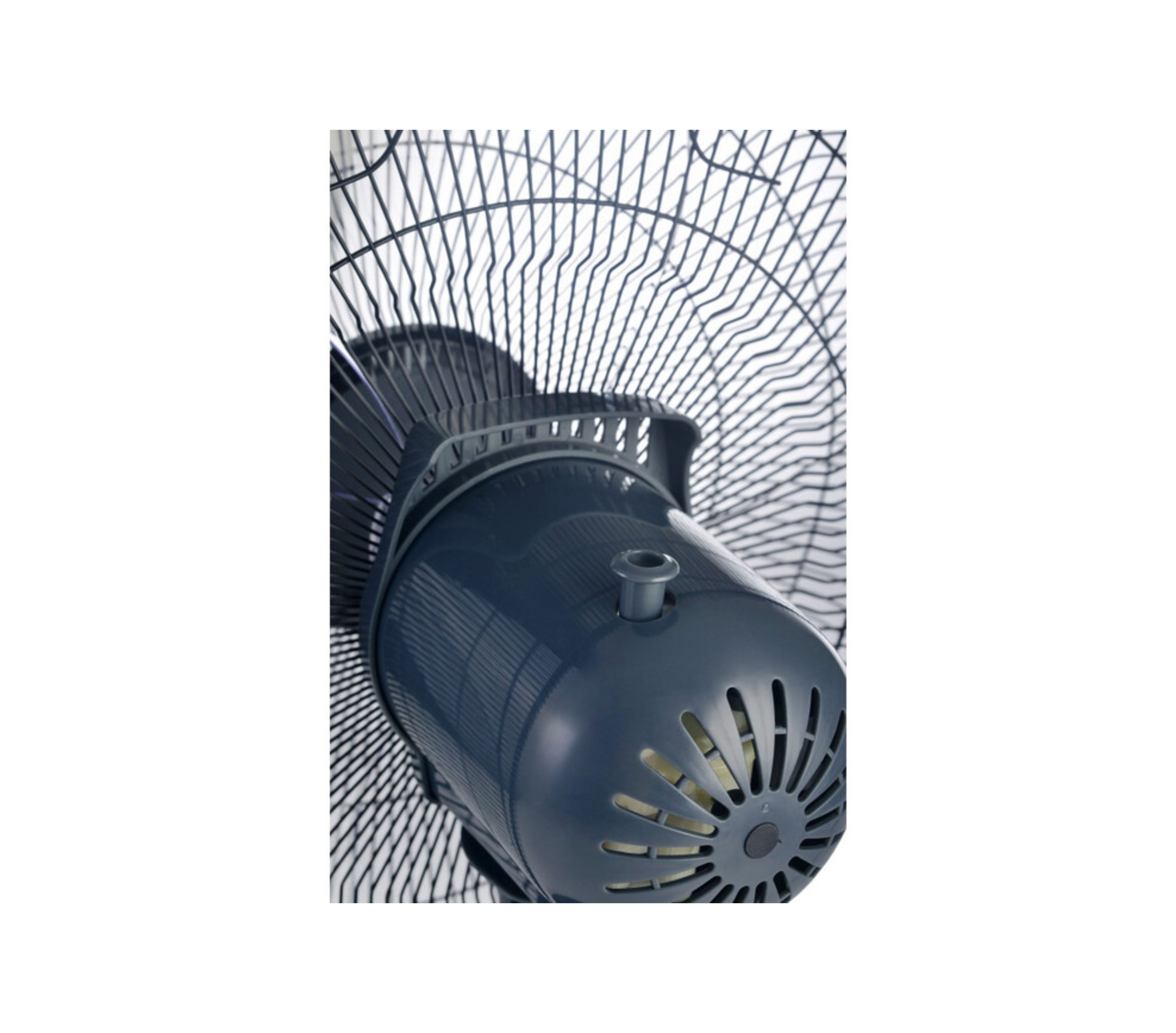Cornell 16" Table Fan | CFN-T169P